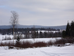 1/Шуаренканнаш