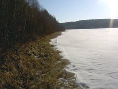 6/Руокоярви