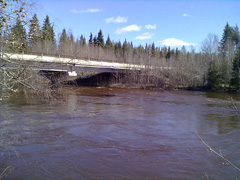 1/Мост через Войницу