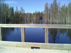 5/Мост через Куржму