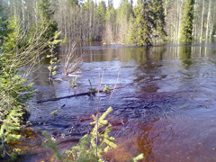 6/&laquo;Дорога&raquo; на водопад