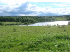 Вид с "макушки" острова в июне