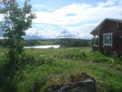 То же с захватом дома и рябины