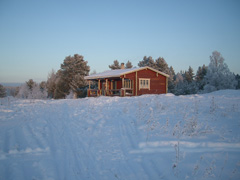 Ясным январским утром