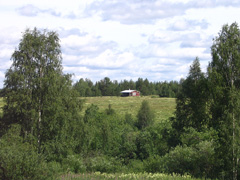 Тёплым июльским днём