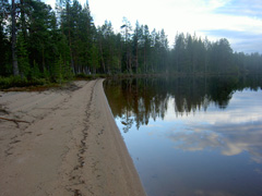 Песчаный берег озера Кокко
