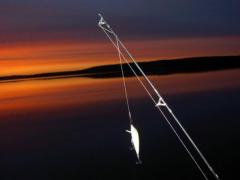 Возвращение с вечерней рыбалки