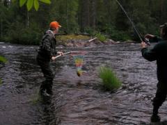 Лосось на крючке, но еще не в руках