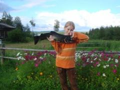 Первый лосось